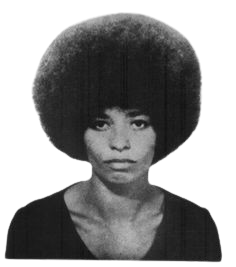 Anglea Davis/Angela Davis.png